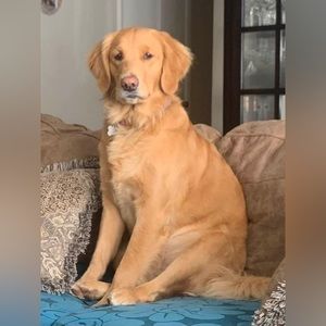 Meet your Posher, Denise